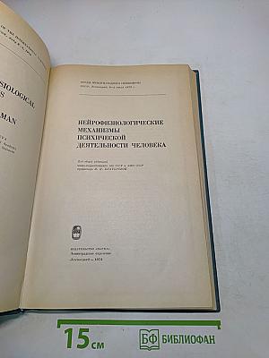 Нейрофизиологические механизмы психической деятельности человека