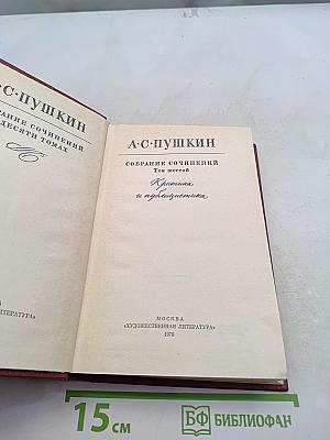 Собрание сочинений. Том шестой. Критика и публицистика