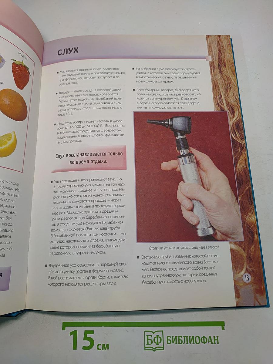 5000 фактов. Энциклопедия школьника. Техника, организм человека, спорт, искусство