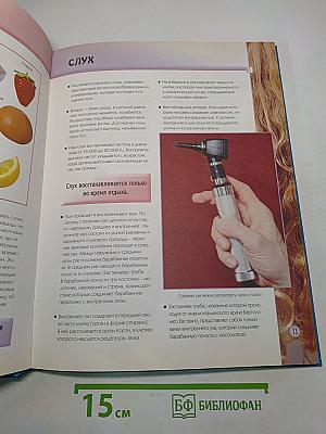 5000 фактов. Энциклопедия школьника. Техника, организм человека, спорт, искусство