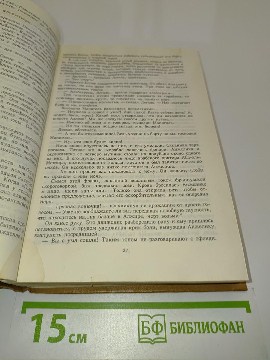 Анжелика и Рескатор. Анжелика в новом свете. Книга 5