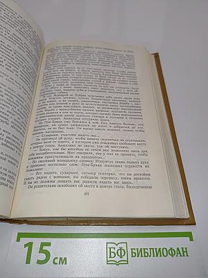Анжелика и Рескатор. Анжелика в новом свете. Книга 5