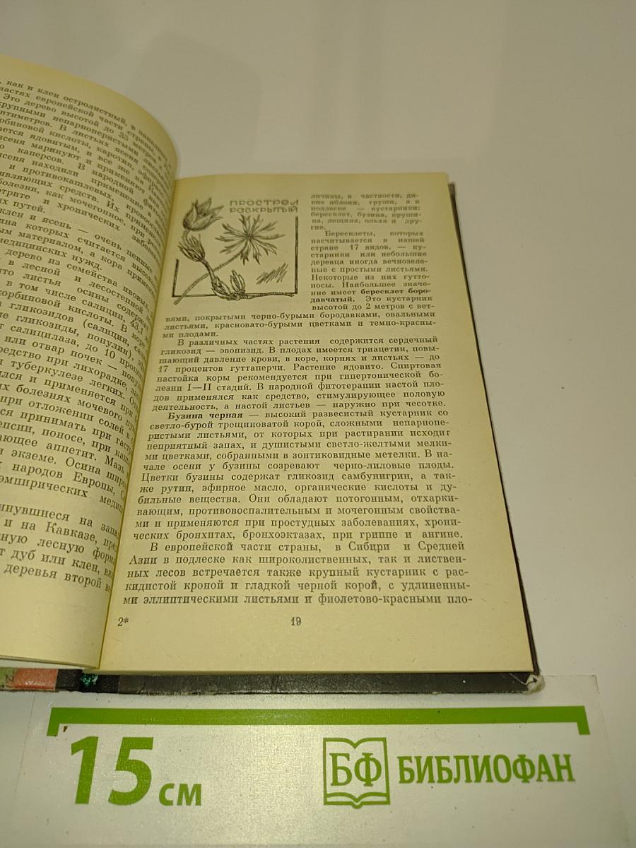 Родники здоровья