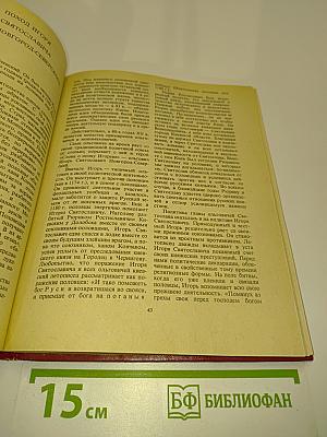 Слово о полку Игореве: Историко-литературный очерк