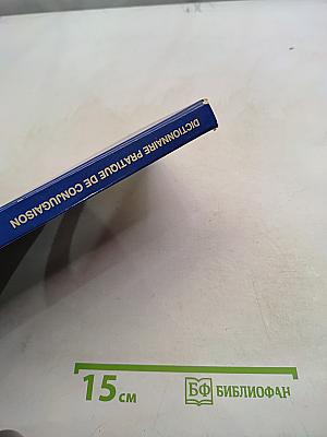 Dictionnaire pratique de conjugaison