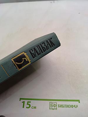 Человеческая комедия. Сцены частной жизни. Том 5