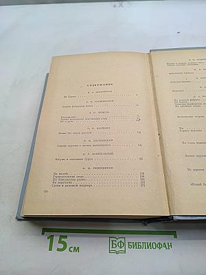 Русские очерки. Том II