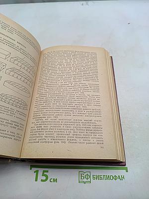 Постройка моделей судов