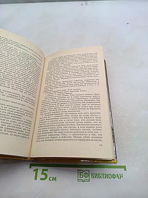 Папа Сикст V. Безумие