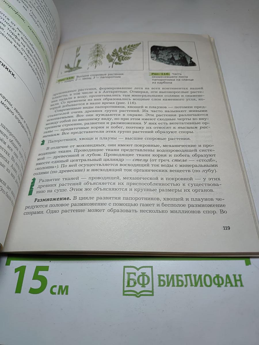 Биология 6 класс