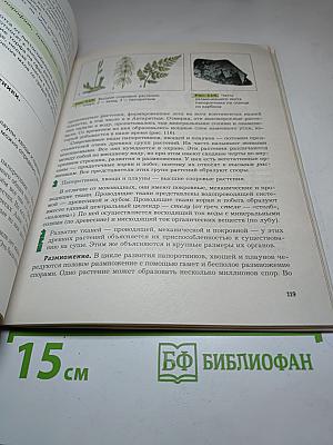 Биология 6 класс