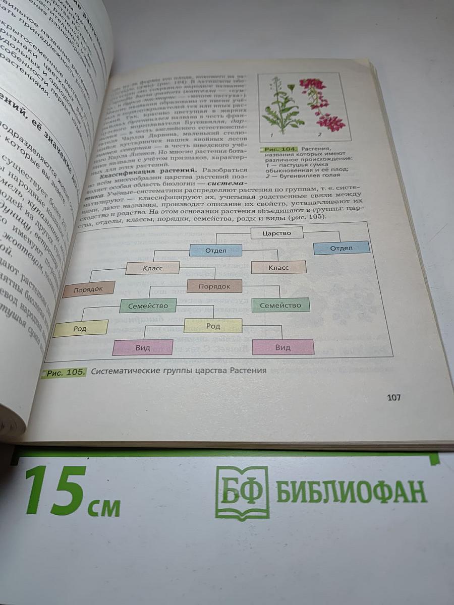 Биология 6 класс