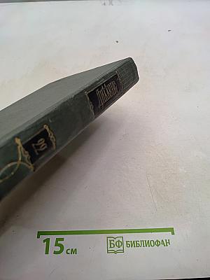 Собрание сочинений. Том двадцать второй. Повесть о двух городах