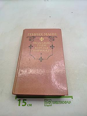 Молодые годы короля Генриха IV