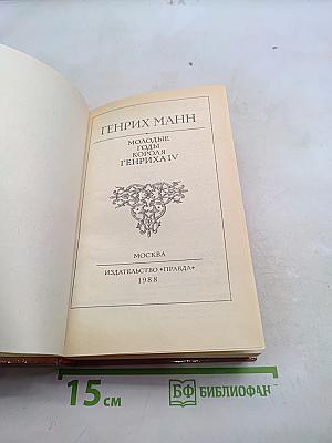 Молодые годы короля Генриха IV