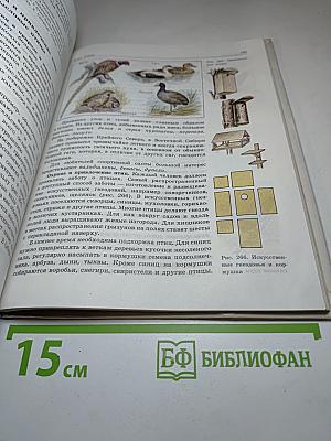 Биология. Животные. 7-8 классы