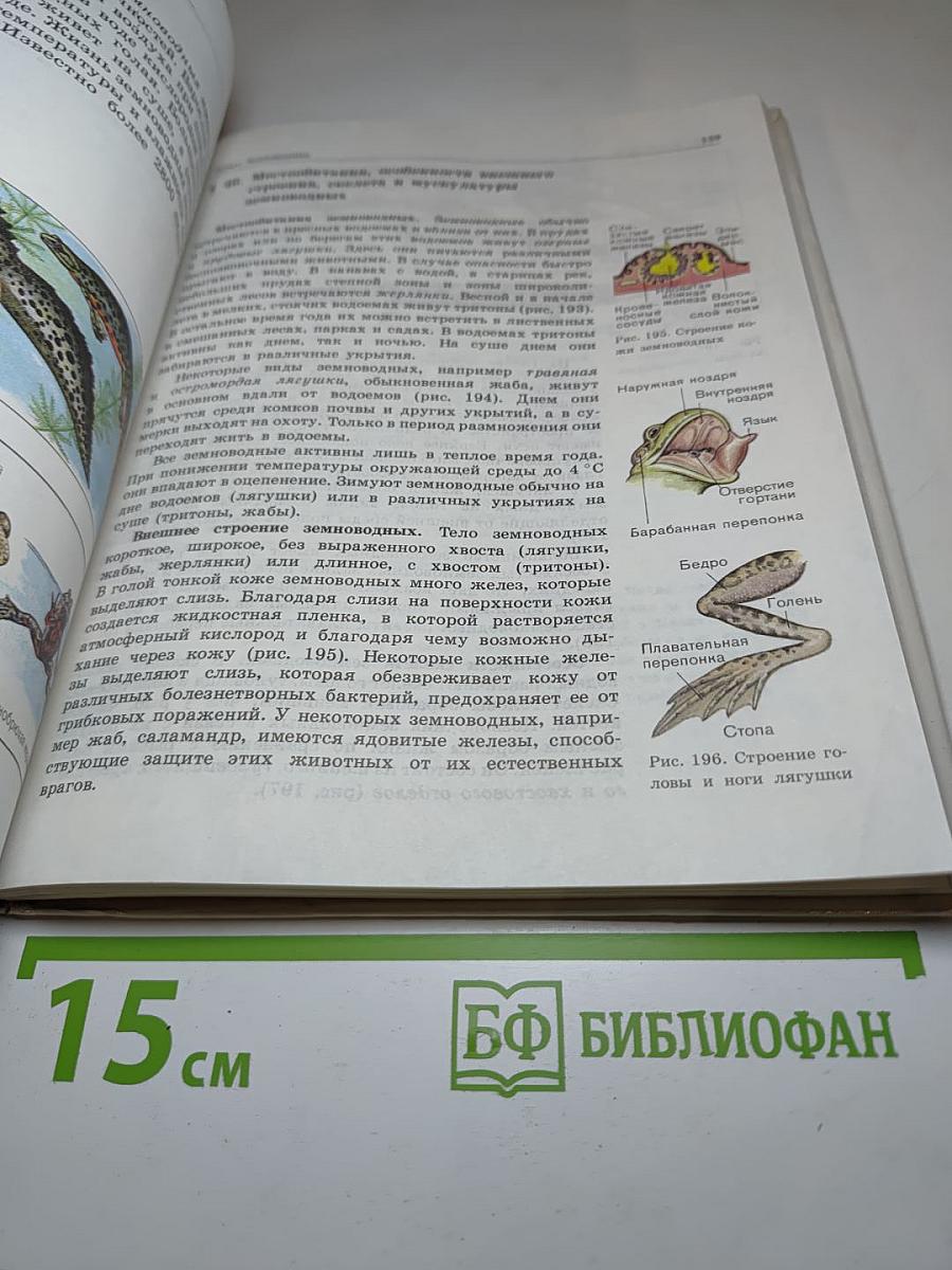 Биология. Животные. 7-8 классы
