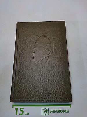Собрание сочинений. Том десятый. Повести и рассказы 1872-1886 гг.