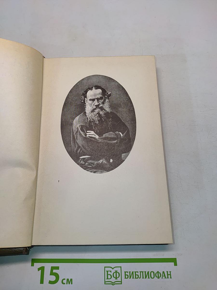 Собрание сочинений. Том десятый. Повести и рассказы 1872-1886 гг.