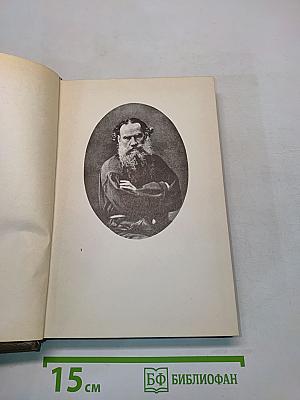 Собрание сочинений. Том десятый. Повести и рассказы 1872-1886 гг.