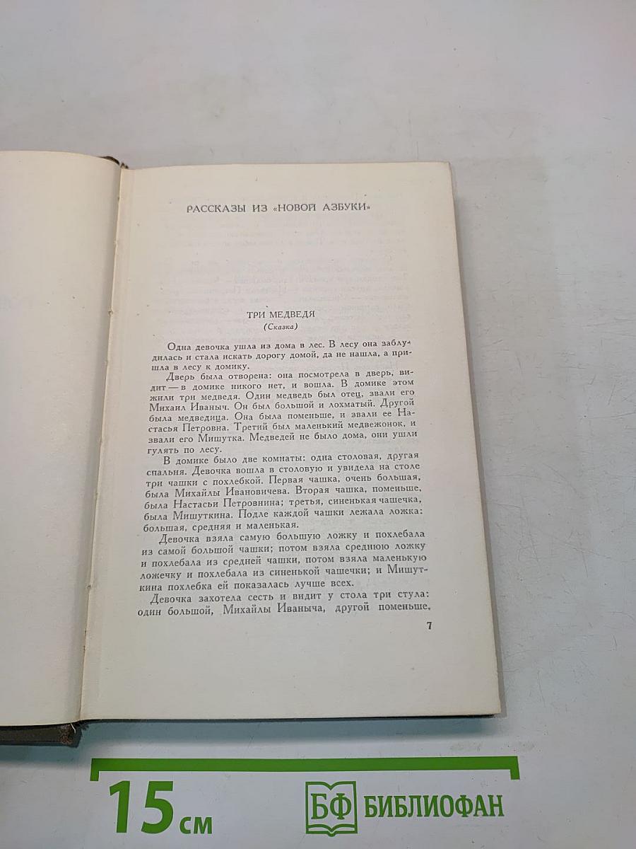 Собрание сочинений. Том десятый. Повести и рассказы 1872-1886 гг.