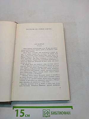 Собрание сочинений. Том десятый. Повести и рассказы 1872-1886 гг.