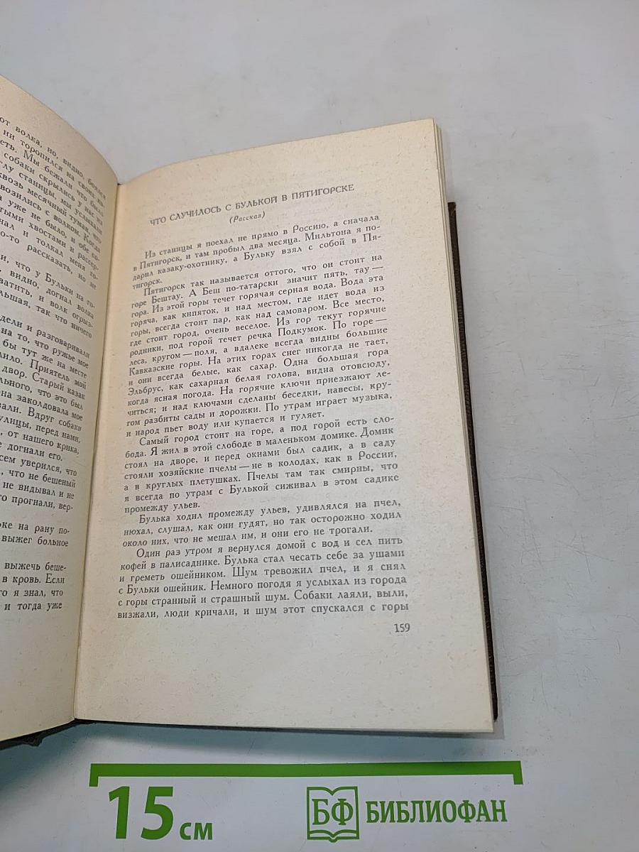 Собрание сочинений. Том десятый. Повести и рассказы 1872-1886 гг.