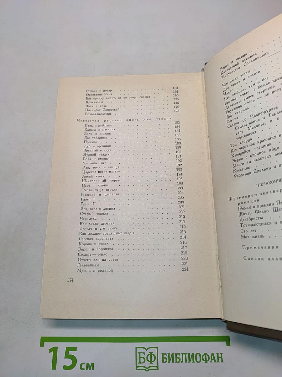 Собрание сочинений. Том десятый. Повести и рассказы 1872-1886 гг.