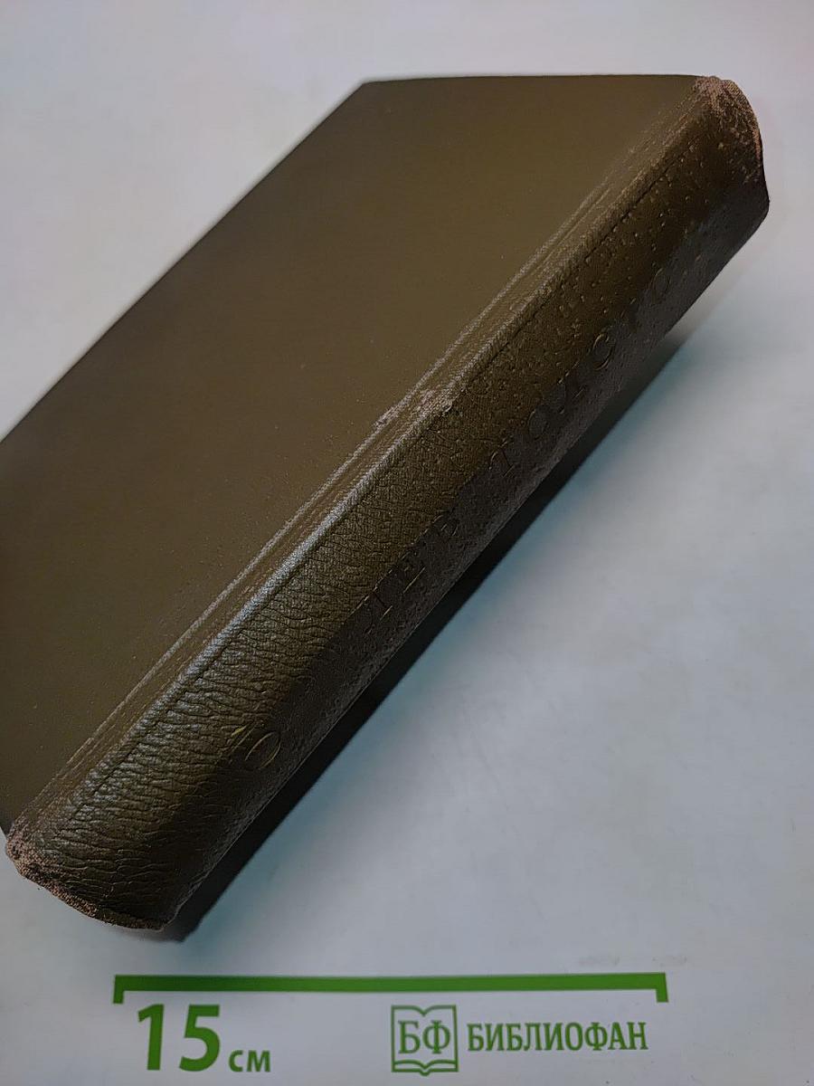 Собрание сочинений. Том десятый. Повести и рассказы 1872-1886 гг.