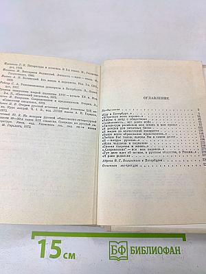 Белинский в Петербурге