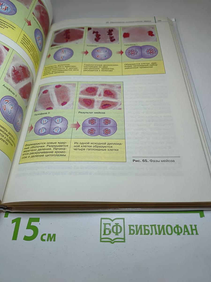 Биология. Общая биология. 10 класс