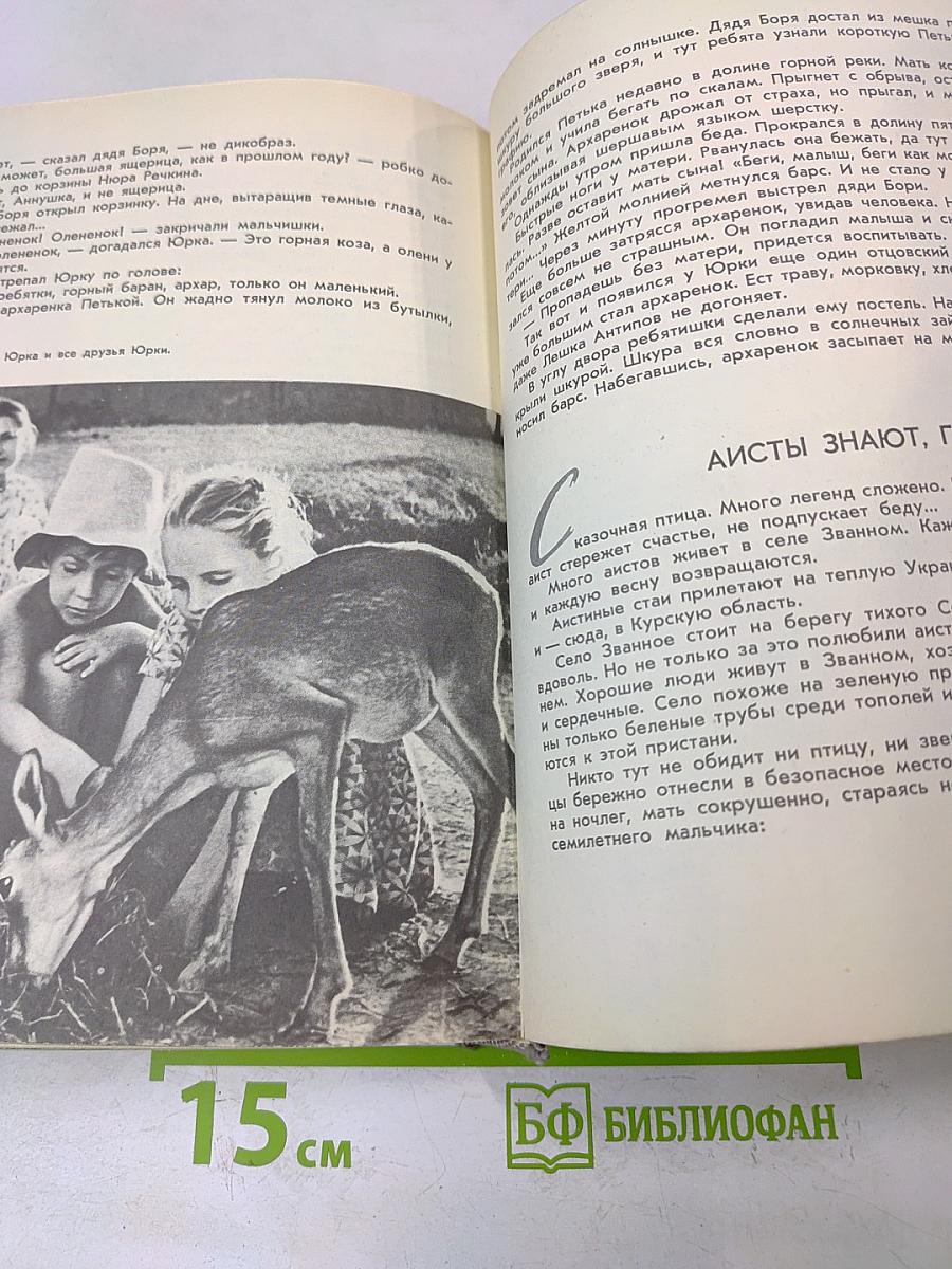 Шаги по росе