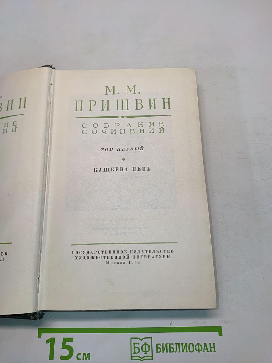 Собрание сочинений. Том первый. Кащеева цепь