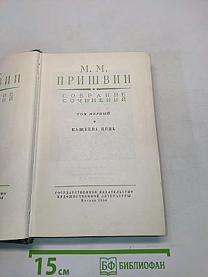 Собрание сочинений. Том первый. Кащеева цепь