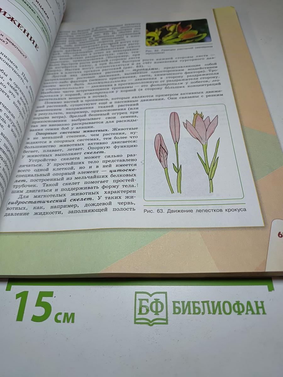 Биология 9 класс