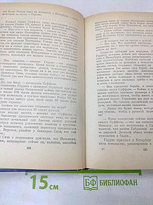Фаворит. Роман-хроника времен Екатерины II в двух книгах. Книга вторая