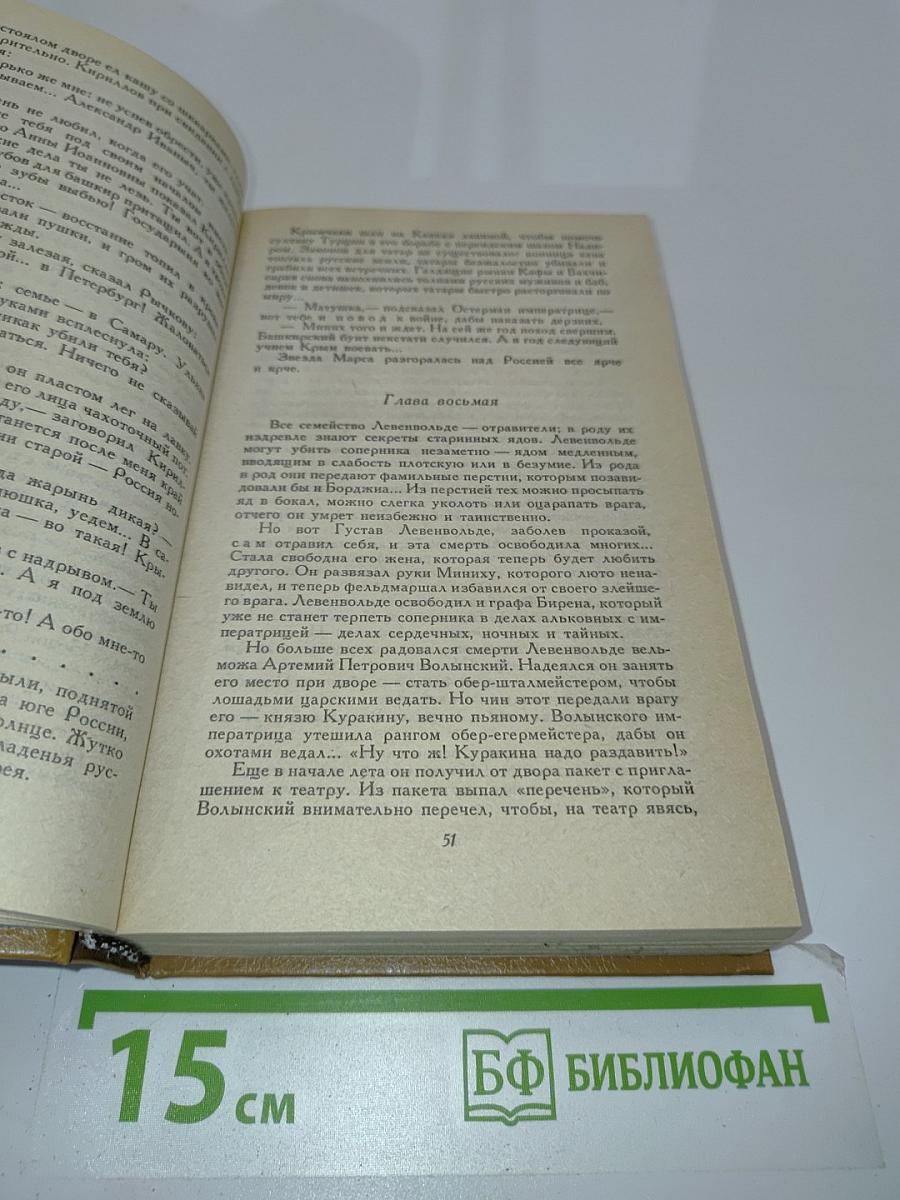 Слово и дело. Роман-хроника времен Анны Иоанновны. В двух книгах. Книга 2. Мои любезные конфиденты