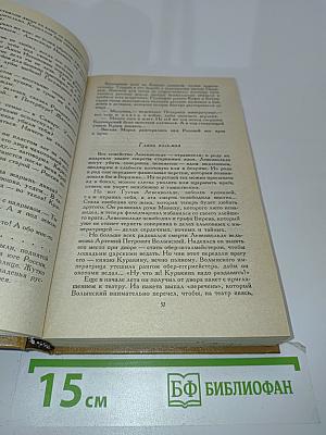 Слово и дело. Роман-хроника времен Анны Иоанновны. В двух книгах. Книга 2. Мои любезные конфиденты
