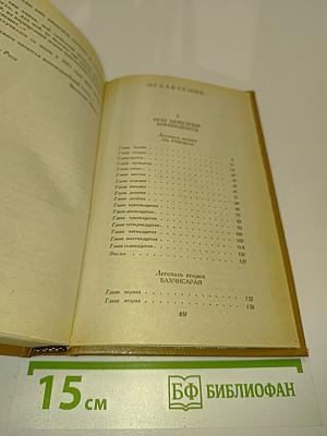 Слово и дело. Роман-хроника времен Анны Иоанновны. В двух книгах. Книга 2. Мои любезные конфиденты