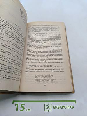 Слово и дело. Роман-хроника времён Анны Иоанновны