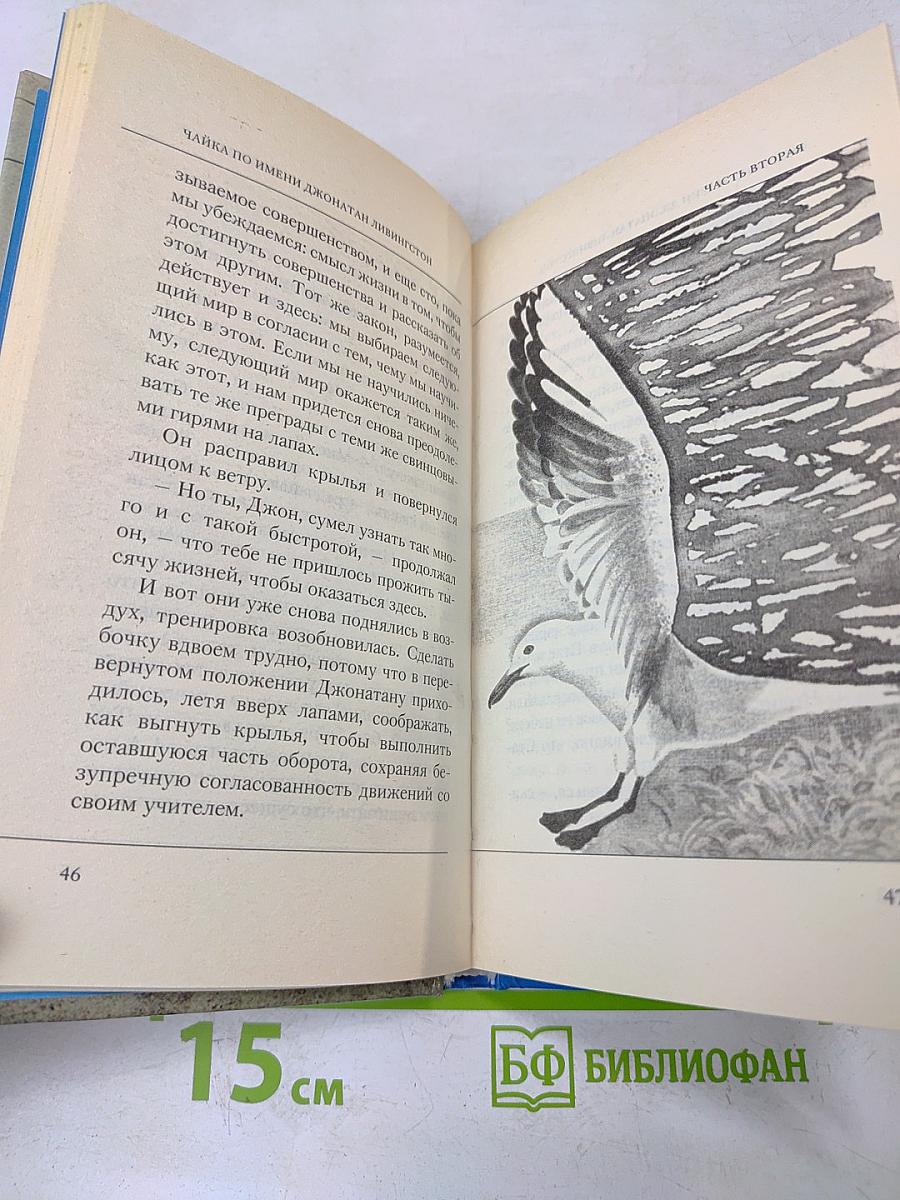 Чайка по имени Джонатан Ливингстон