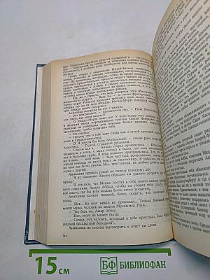 Неукротимая Анжелика