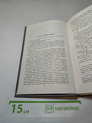 Белый Ягуар. Вождь Араваков