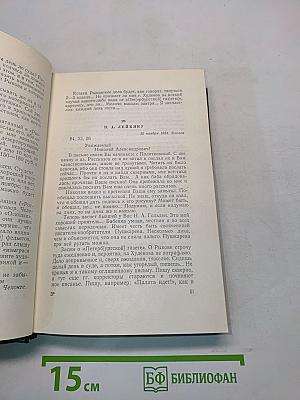 Собрание сочинений. Том одиннадцатый. Письма 1877-1892