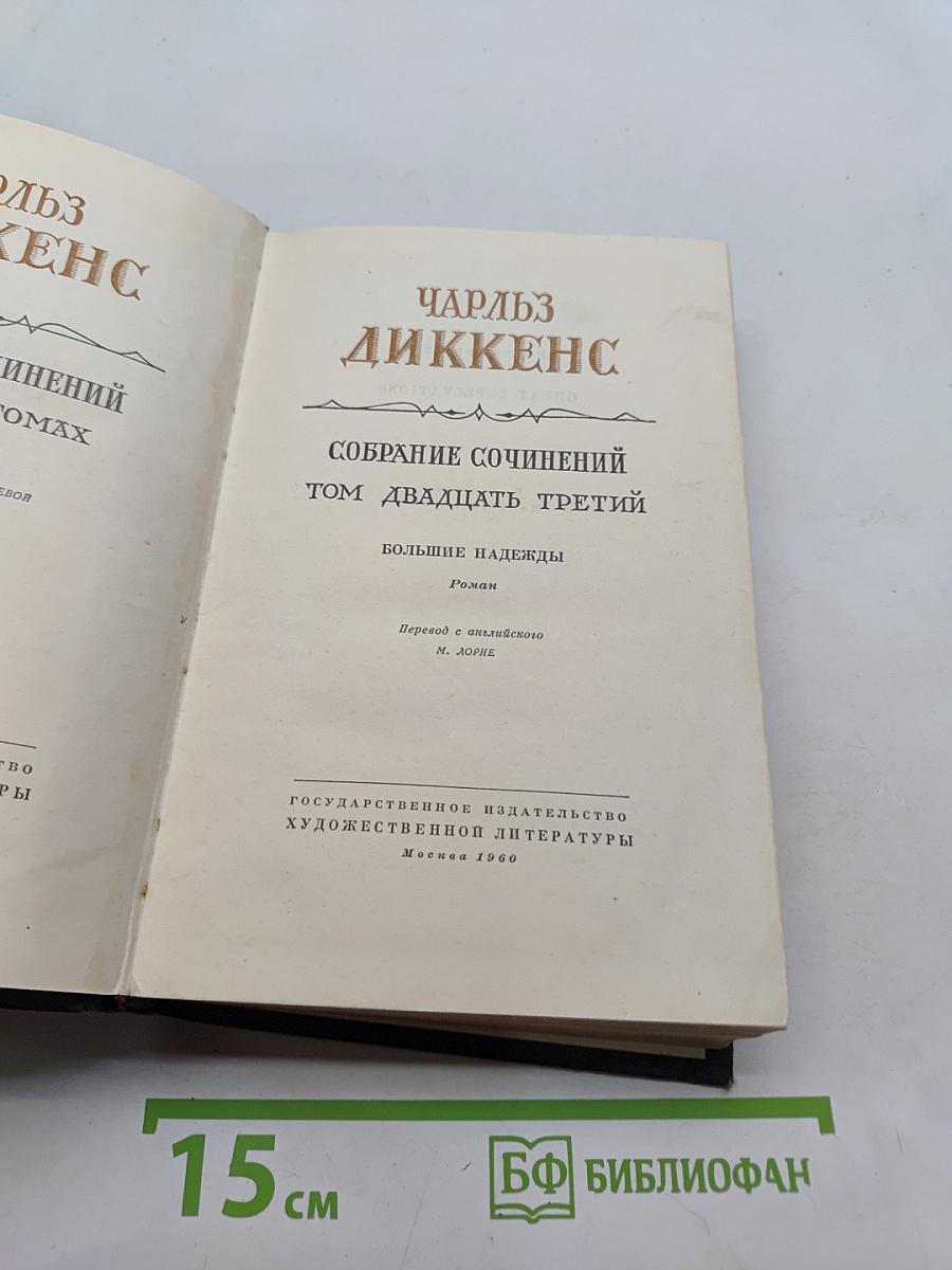 Большие надежды. Том двадцать третий