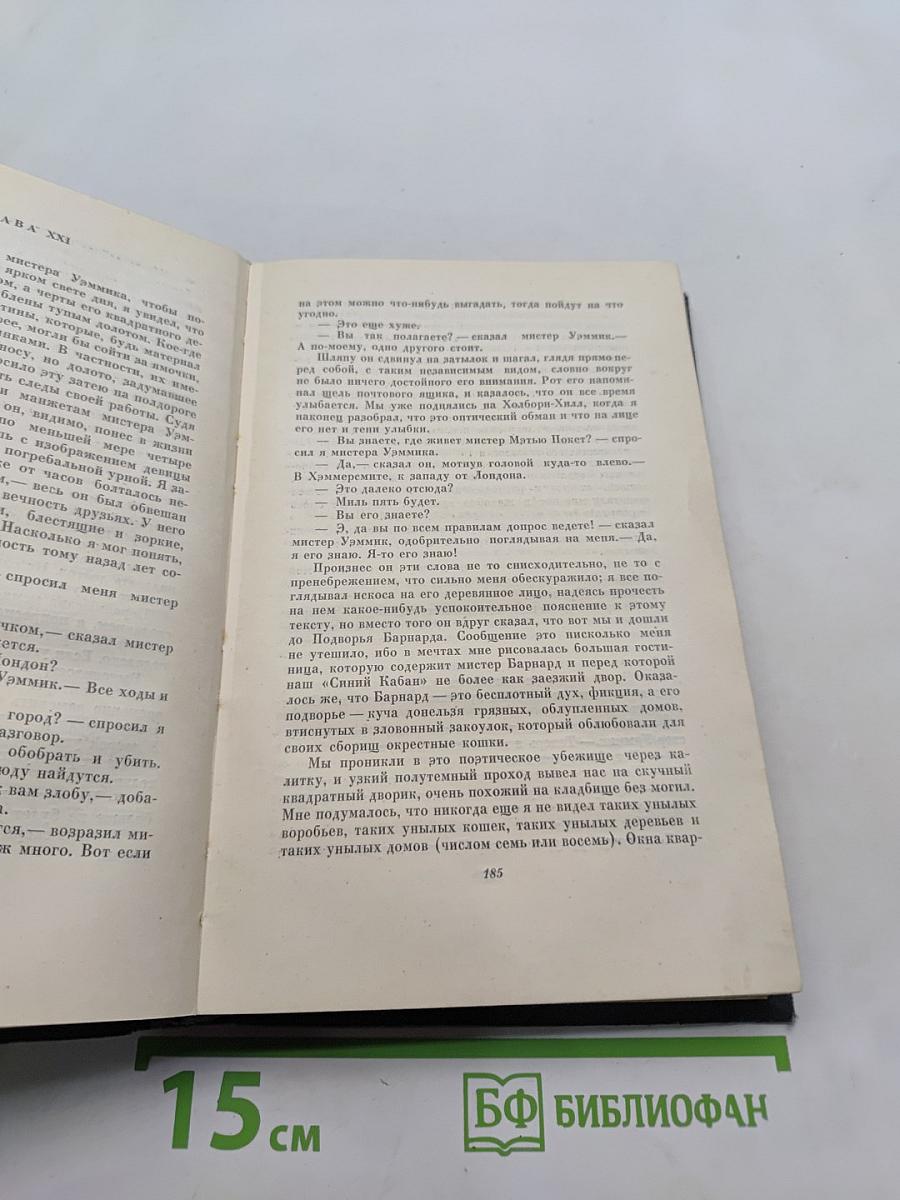 Большие надежды. Том двадцать третий