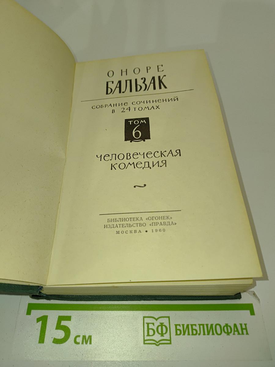 Человеческая комедия. Том 6