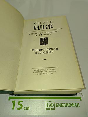 Человеческая комедия. Том 6