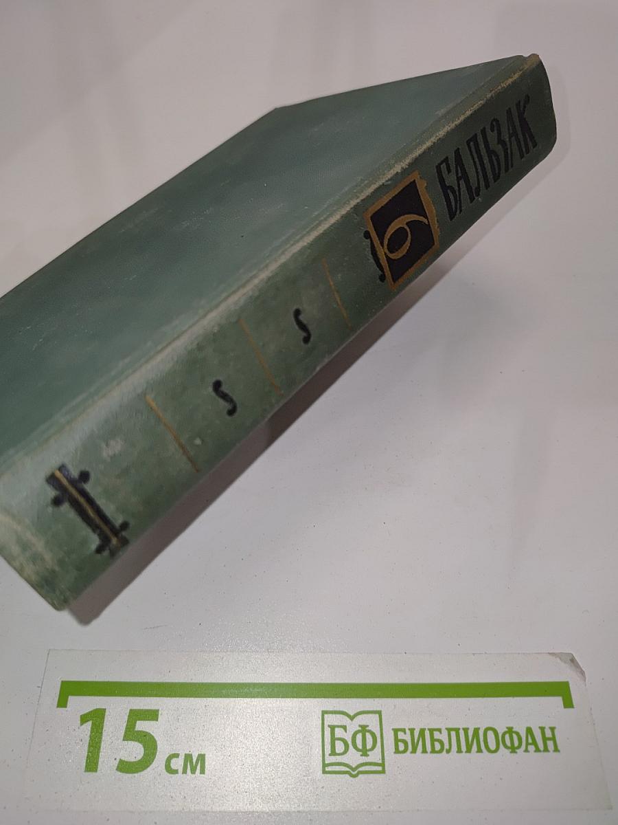 Человеческая комедия. Том 6