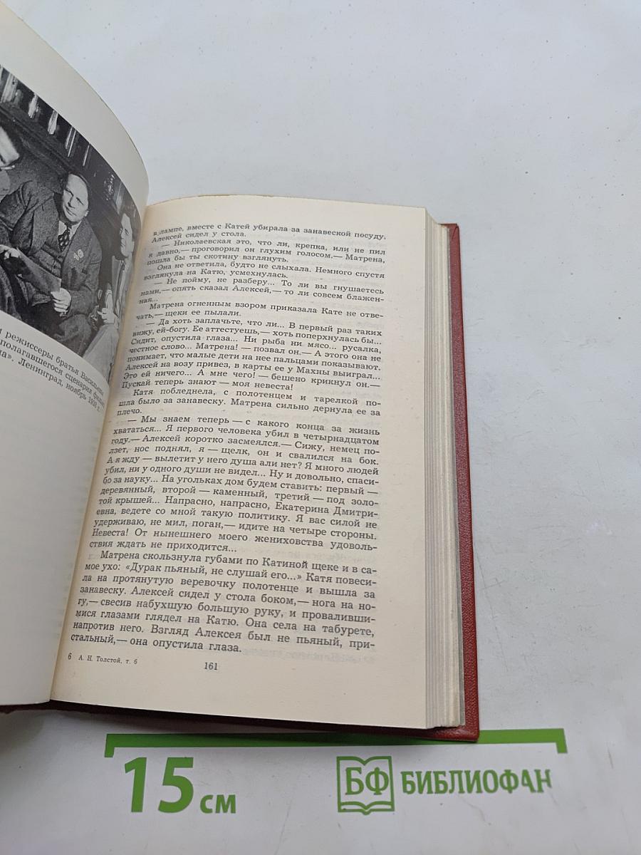 Собрание сочинений. Том шестой. Хождение по мукам. Хмурое утро